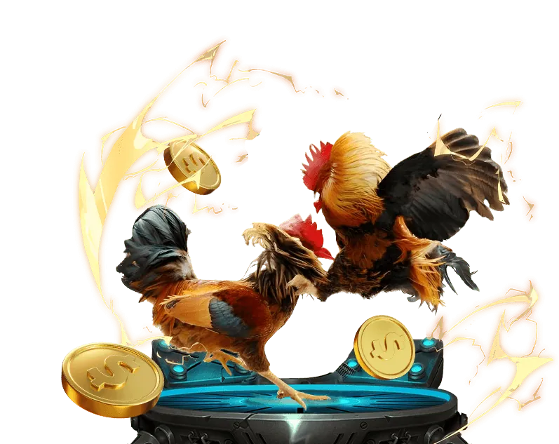 Người chơi đang tận hưởng cá cược trực tuyến tại 999 Bets Sports